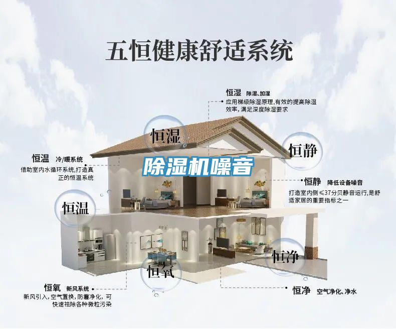 91免费网站在线观看噪音