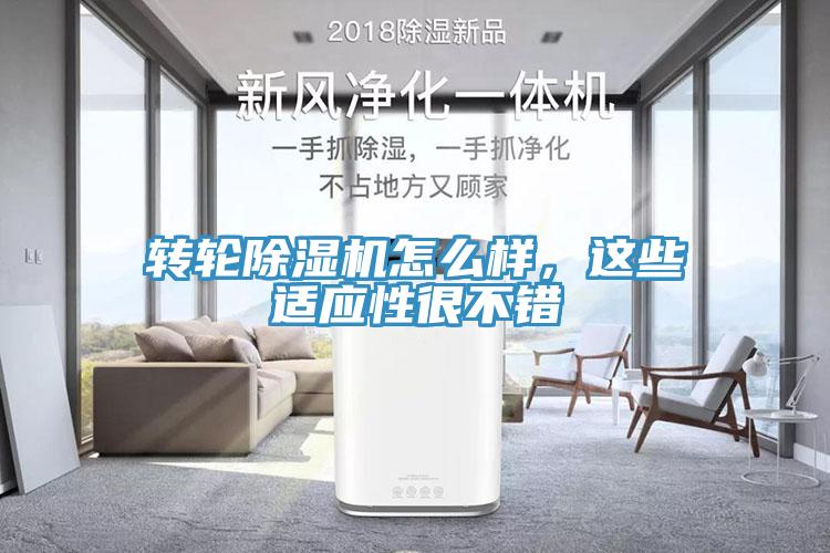 转轮91免费网站在线观看怎么样，这些适应性很不错