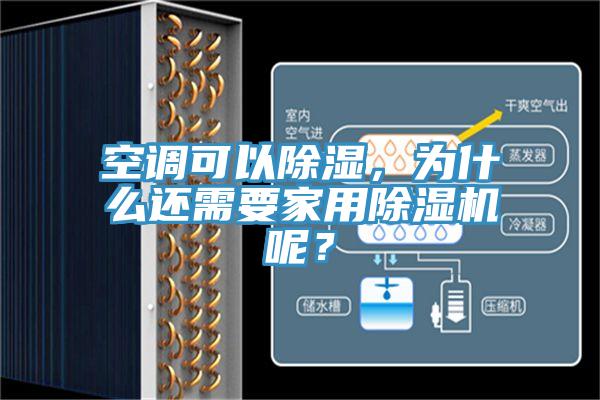 空调可以除湿，为什么还需要家用91免费网站在线观看呢？