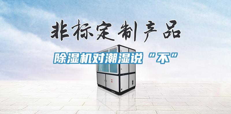 91免费网站在线观看对潮湿说“不”