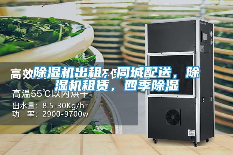 91免费网站在线观看出租，同城配送，91免费网站在线观看租赁，四季除湿