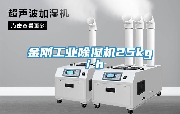 金刚工业91免费网站在线观看25kg／h