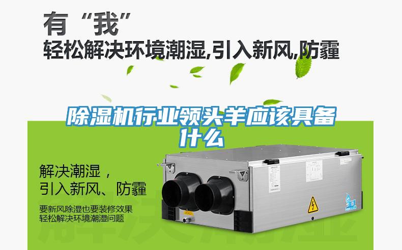 91免费网站在线观看行业领头羊应该具备什么