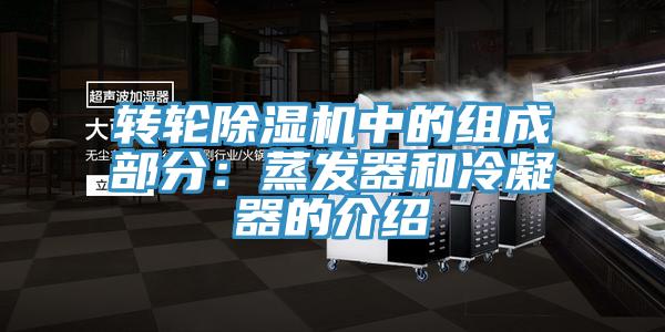 转轮91免费网站在线观看中的组成部分：蒸发器和冷凝器的介绍