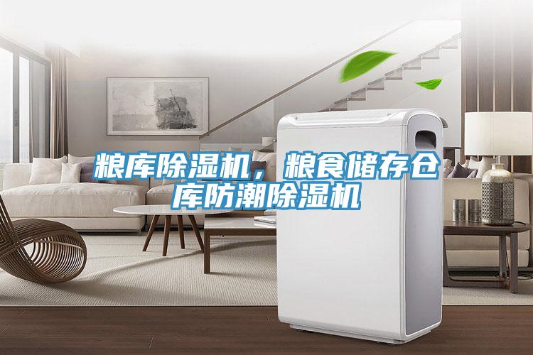 粮库91免费网站在线观看，粮食储存仓库防潮91免费网站在线观看