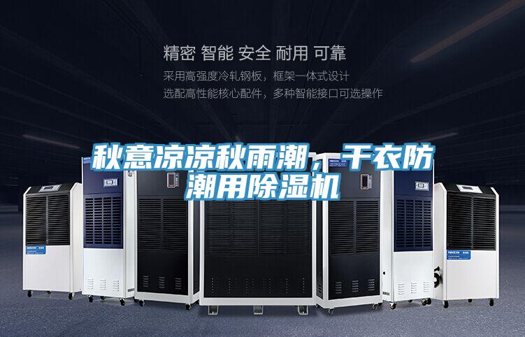 秋意凉凉秋雨潮，干衣防潮用91免费网站在线观看