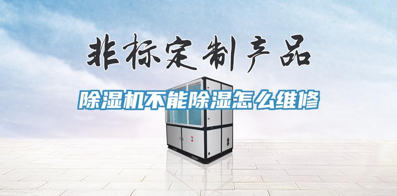 91免费网站在线观看不能除湿怎么维修