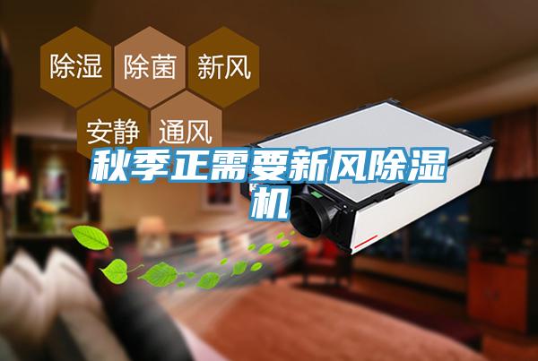 秋季正需要新风91免费网站在线观看