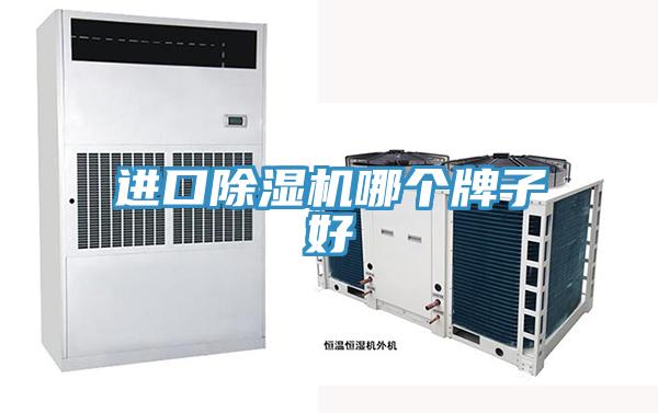 进口91免费网站在线观看哪个牌子好
