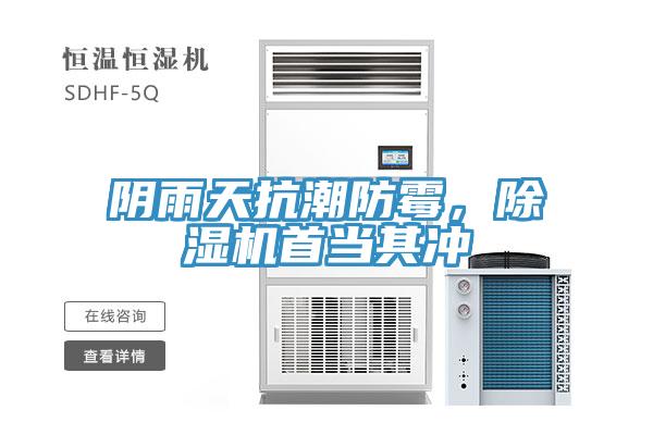 阴雨天抗潮防霉，91免费网站在线观看首当其冲