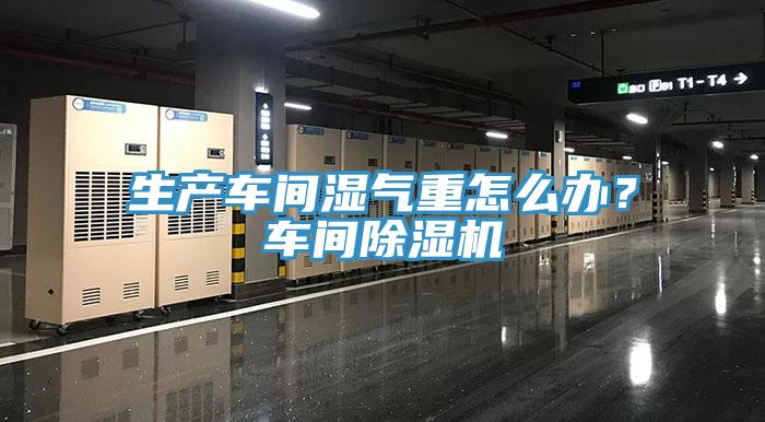 生产车间湿气重怎么办？车间91免费网站在线观看