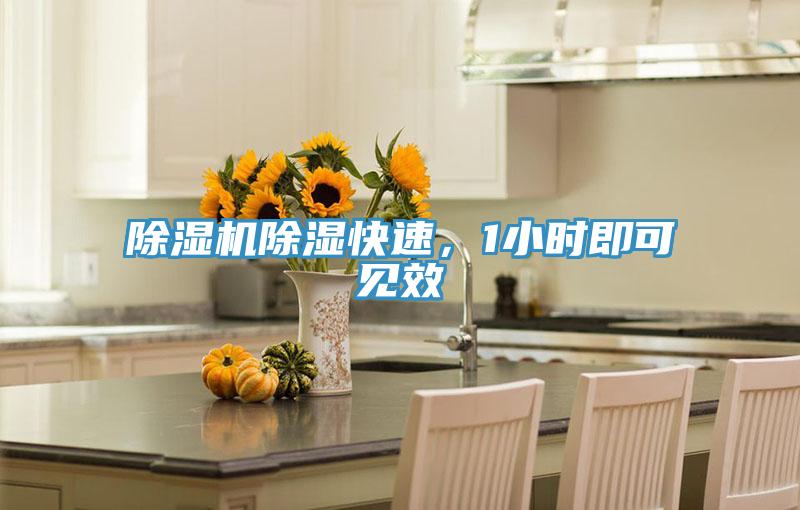 91免费网站在线观看除湿快速，1小时即可见效