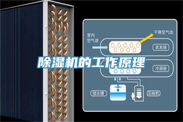 91免费网站在线观看的工作原理