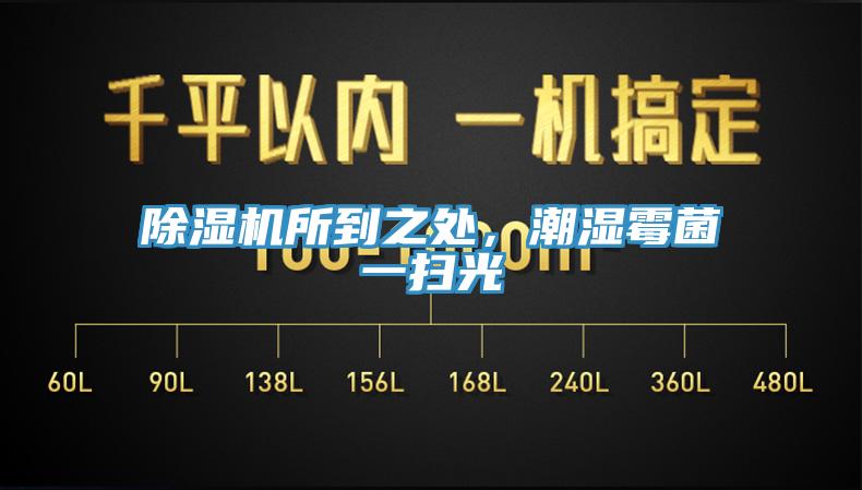 91免费网站在线观看所到之处，潮湿霉菌一扫光
