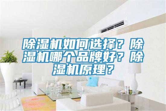 91免费网站在线观看如何选择？91免费网站在线观看哪个品牌好？91免费网站在线观看原理？