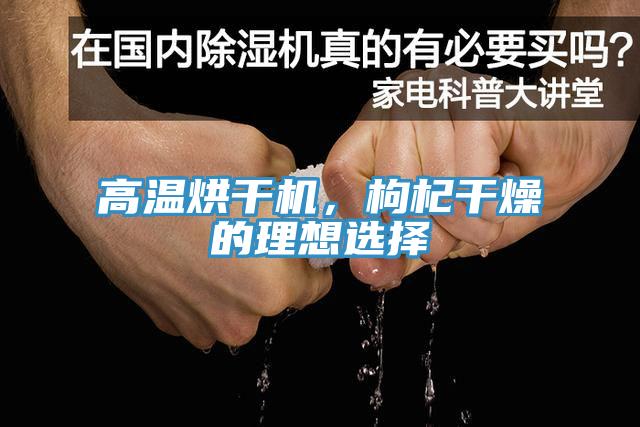高温烘干机，枸杞干燥的理想选择