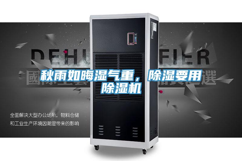 秋雨如晦湿气重，除湿要用91免费网站在线观看