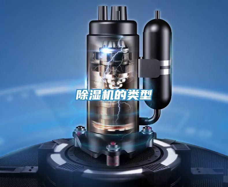 91免费网站在线观看的类型