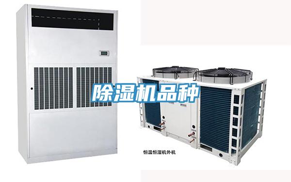 91免费网站在线观看品种