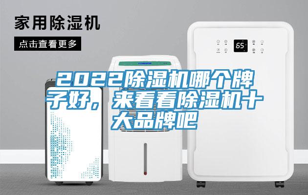 202291免费网站在线观看哪个牌子好，来看看91免费网站在线观看十大品牌吧