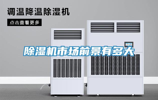 91免费网站在线观看市场前景有多大