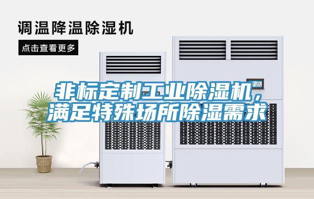 非标定制工业91免费网站在线观看，满足特殊场所除湿需求