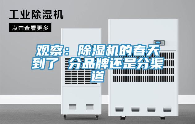 观察：91免费网站在线观看的春天到了 分品牌还是分渠道