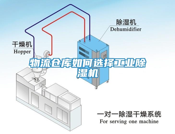 物流仓库如何选择工业91免费网站在线观看