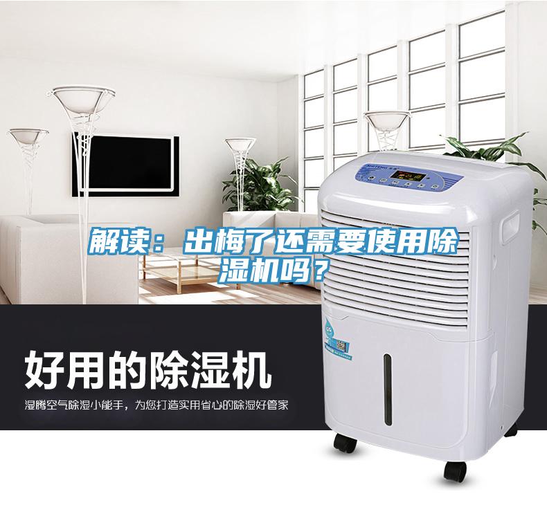 解读：出梅了还需要使用91免费网站在线观看吗？