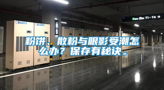 粉饼、散粉与眼影受潮怎么办？保存有秘诀。