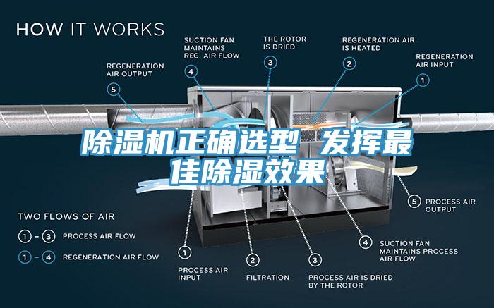 91免费网站在线观看正确选型 发挥最佳除湿效果