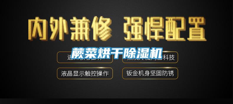 蕨菜烘干91免费网站在线观看