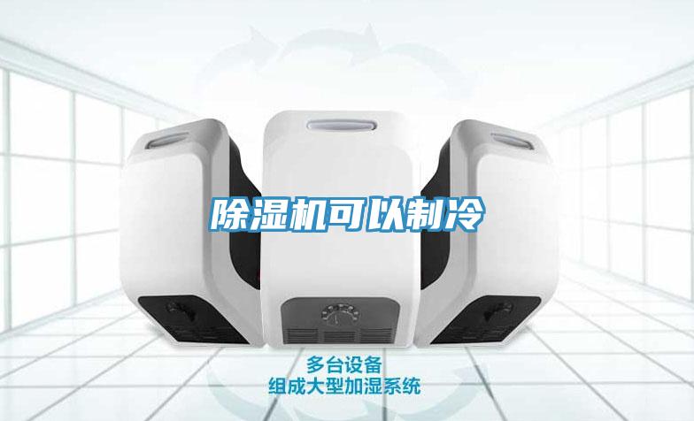 91免费网站在线观看可以制冷