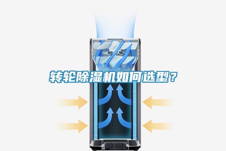 转轮91免费网站在线观看如何选型？