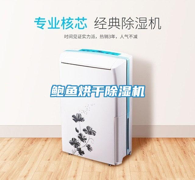 鲍鱼烘干91免费网站在线观看
