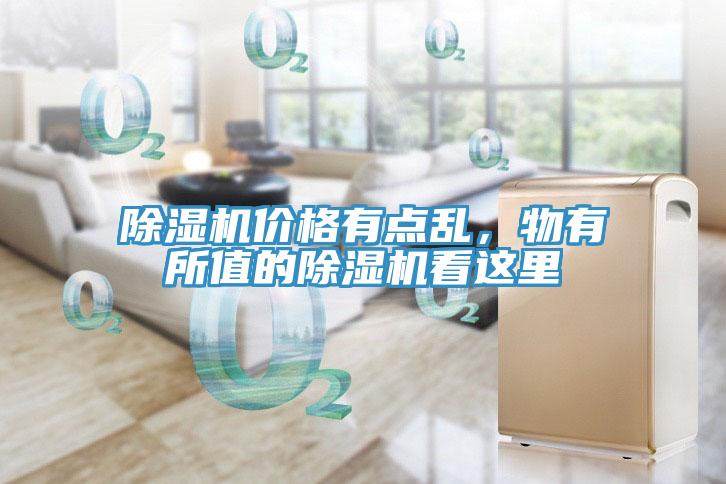 91免费网站在线观看价格有点乱，物有所值的91免费网站在线观看看这里