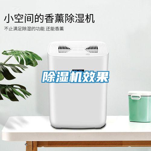 91免费网站在线观看效果