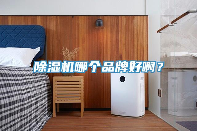 91免费网站在线观看哪个品牌好啊？