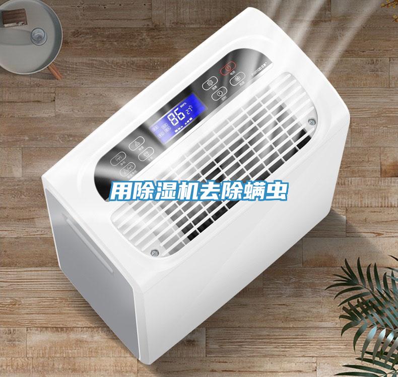用91免费网站在线观看去除螨虫