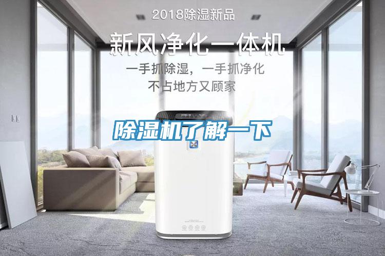 91免费网站在线观看了解一下