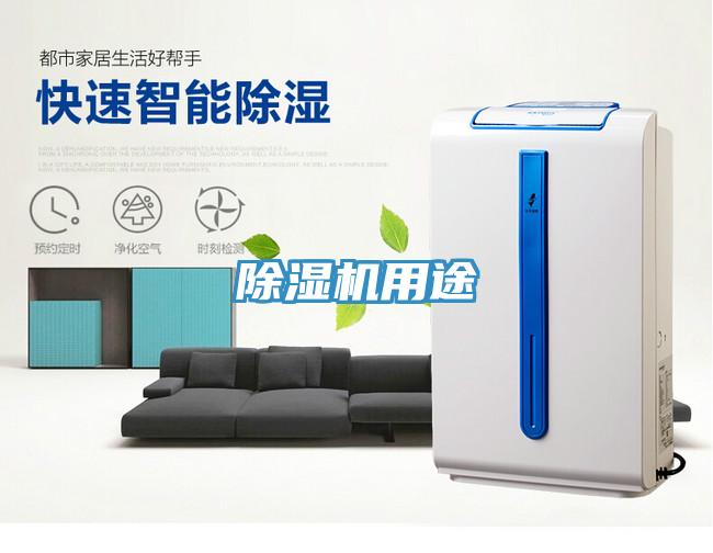 91免费网站在线观看用途