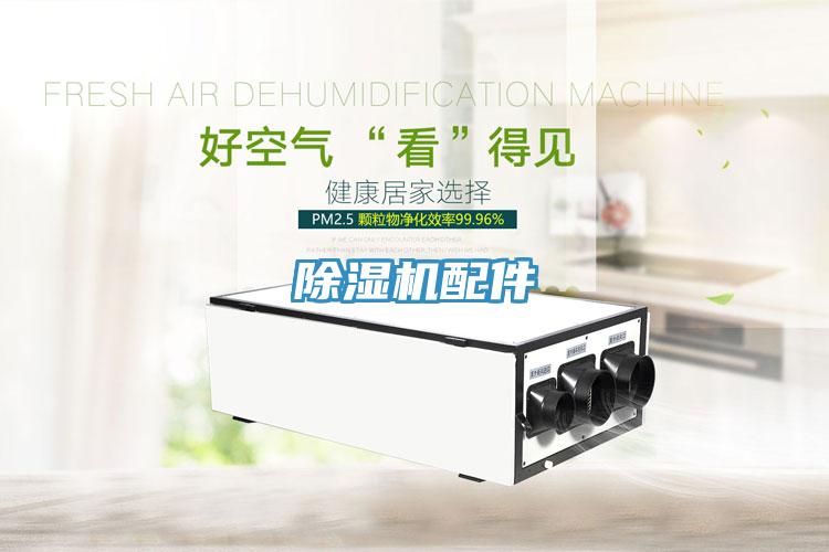 91免费网站在线观看配件