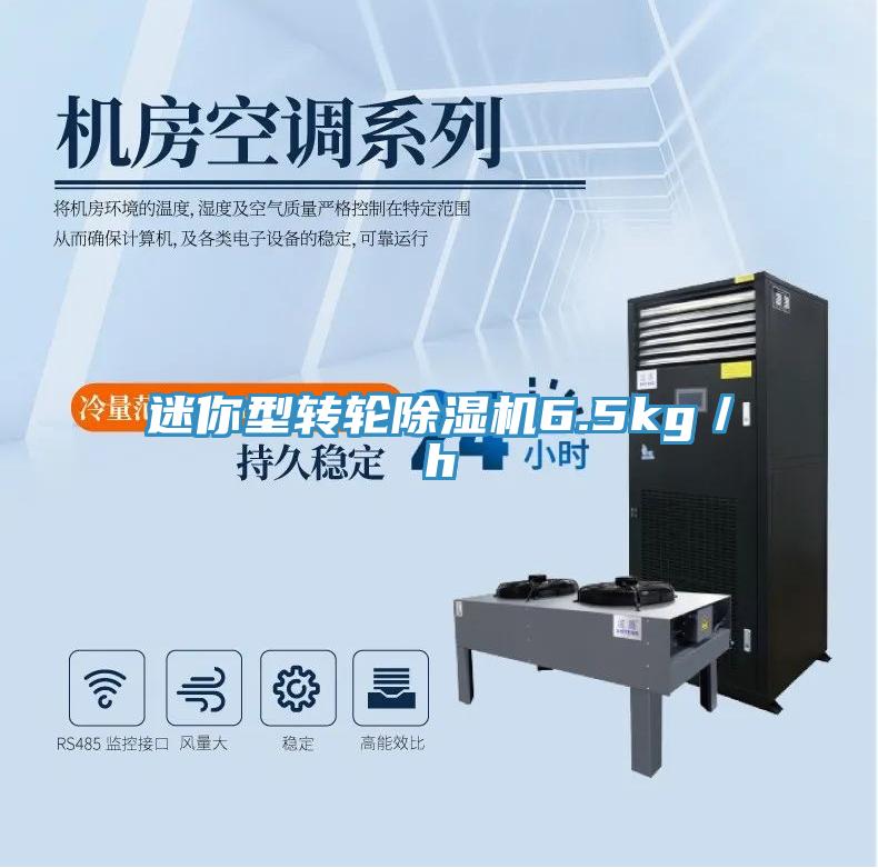 迷你型转轮91免费网站在线观看6.5kg／h
