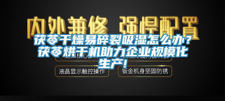 茯苓干燥易碎裂吸湿怎么办？茯苓烘干机助力企业规模化生产!
