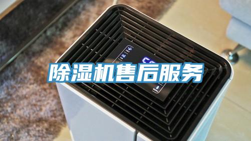 91免费网站在线观看售后服务
