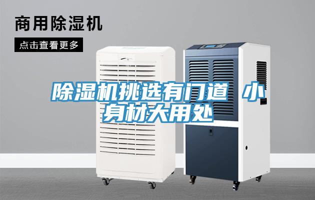 91免费网站在线观看挑选有门道 小身材大用处