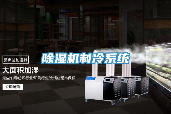 91免费网站在线观看制冷系统