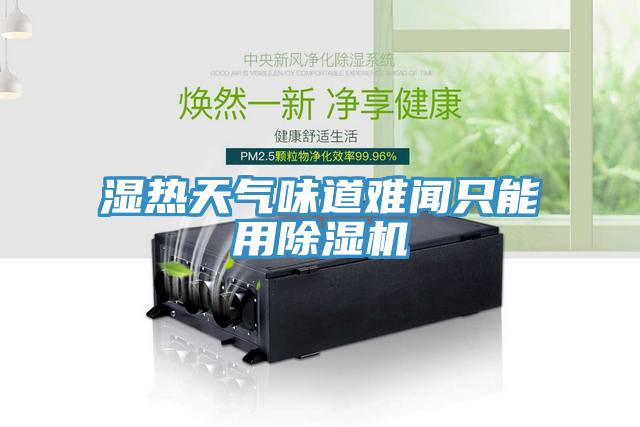 湿热天气味道难闻只能用91免费网站在线观看