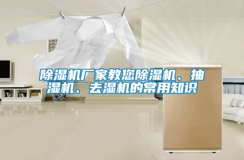 91免费网站在线观看厂家教您91免费网站在线观看、抽湿机、去湿机的常用知识