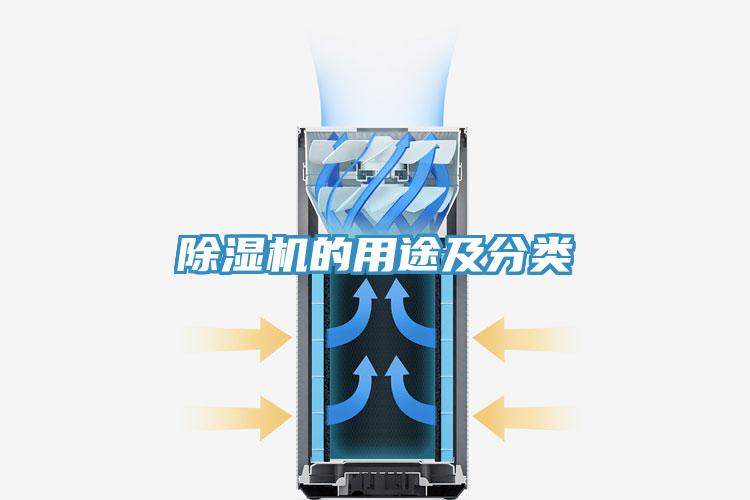 91免费网站在线观看的用途及分类
